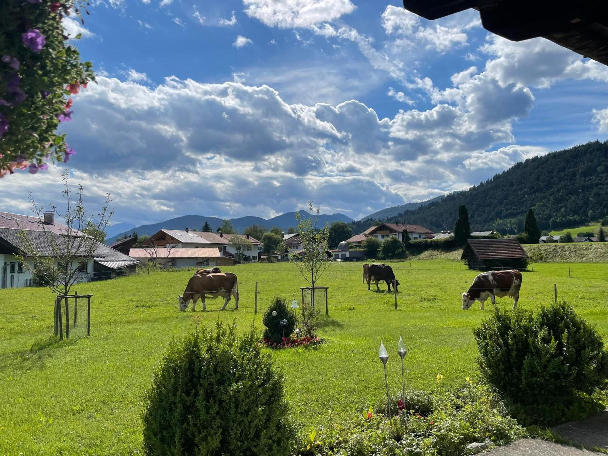 Apartment Hacklhof Wallgau