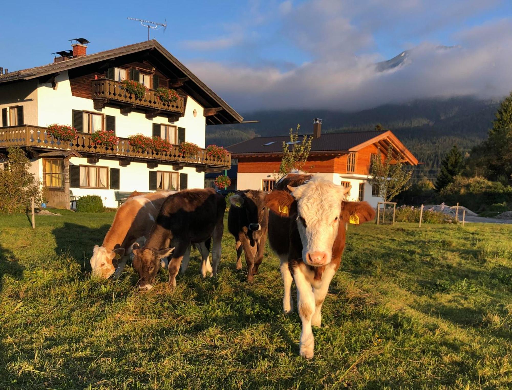 Hacklhof Wallgau